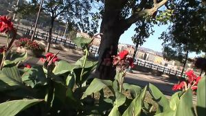 Simone Peach flashing in Budapest