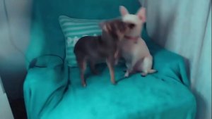 Come Have A Fun Time With Me…