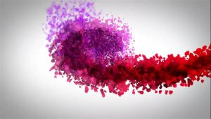 MY BLOCKED YT VIDEO – BUTT PLUG