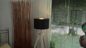 At home my boyfriend shows me his big cock which I appreciate