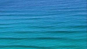 A Day At The Beach, Amazonian, Amazonian’s Comeback, And Aprilella