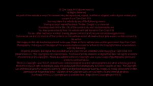 Cam Crest eagerly licks Ditaya’s Pussy (free)