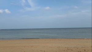 Slender beauty walks along the beach and swims in the sea. meet me