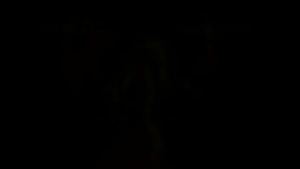 Fantasy Fun At The Wild Dutch Club Making Experience