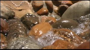 Lena Rides On The Cock Outside And Then Gets A Facial Cumshot Ending