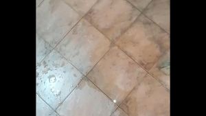 Mira como quedo el piso luego de acabar