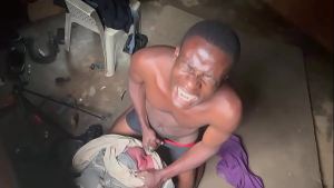 Sex New chubby huge toy