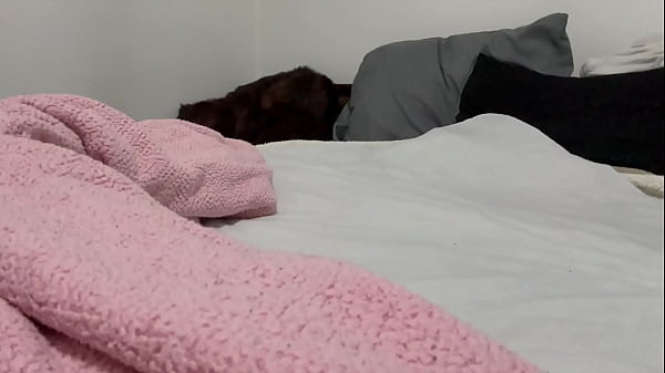 549 ROSSMEX SE MASTURBA RICO PARA UNA DELICIOSA VIDEOLLAMADA