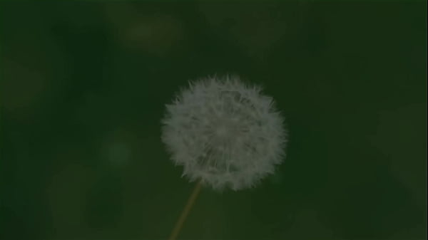 Racconti di un altro mondo del sesso