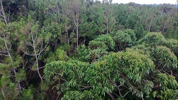 Drone flagra casal transando