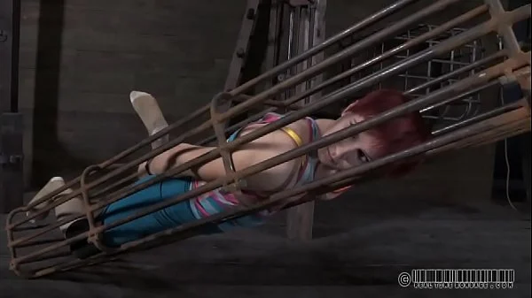 xv-7e81d8bd45d74a3d4cd2209beac1df9c