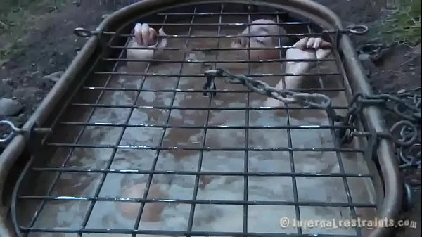 xv-f8de2477d4e0eeb23eb9790390312d12