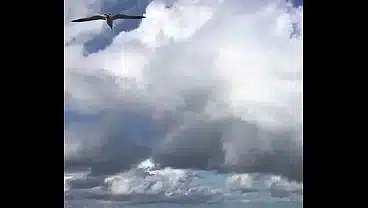 BEACH DAY WITH A RAINBOW