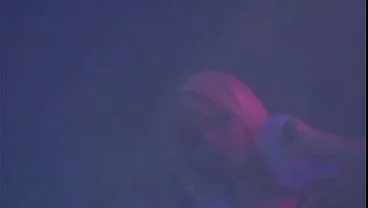 LESBIANS IN PARADISE