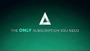 She Came While The Cat Feeder Went Here Kitty Kitty