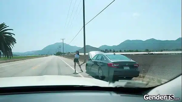 Tgirl Kasey Kei jerked off on the road