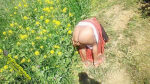 Indian Khet Chudai In Hindi Bhabhi Devar Sex Village – Devar Bhabhi