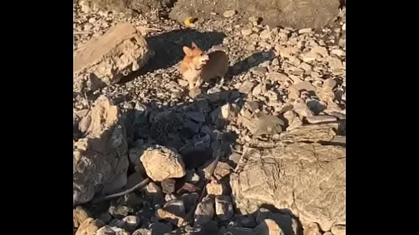 My little friends !) I like sea and summer !)