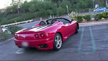 Oral Sex: Tips, Techniques, Positions for All Bodies