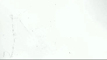 Proud Girl Beca Barbie Showing Her Stepdad and Stepbro Boxing or Sex