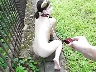 Hentai pet play bdsm in the mountains fully naked