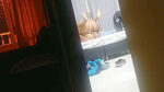 Fucking My Neighbor In Amazon Position Dominating Him In Femdom Then He Fucks Me In Doggystyle And Cuckold Records From Behind