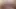 2026 Avn Orgy
