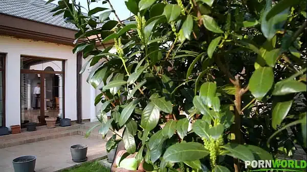 Blowjob For The Servant