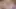 Bridesmaid Wants the Groom’s Load – Cum Dripping When Bride Returns – AI GENERATED