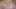 Bridesmaid Wants the Groom’s Load – Cum Dripping When Bride Returns – AI GENERATED