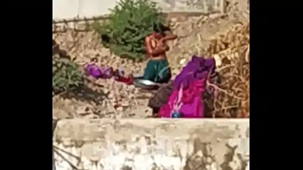 डेसी