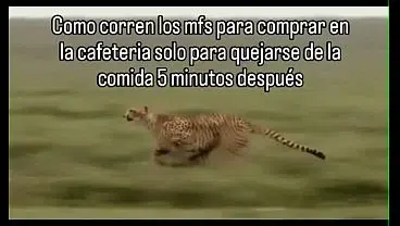 Meme chistoso