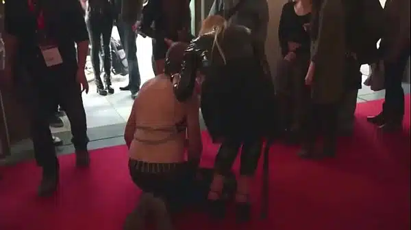 OUBLIC DOG PLAY AWESUM