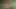 Czech Garden Party: The Biggest Czech Garden Orgy Ever