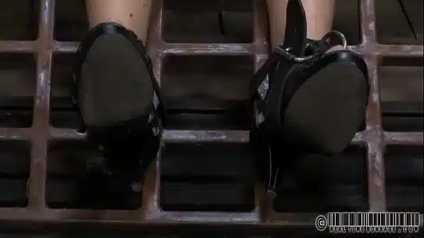 xv-931b65c80d327d2993c44805c6c44963