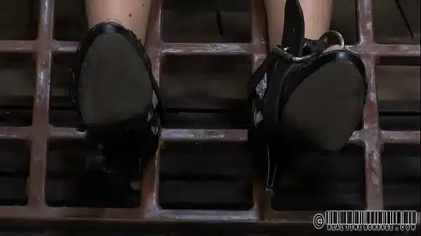 xv-a53e7405999ca4dd89f82f74f7c45e0e