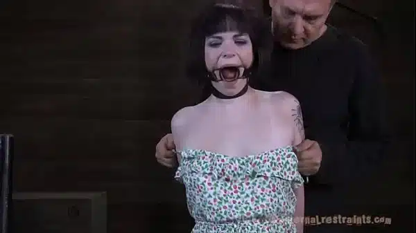 xv-d0fb5f5c2102beb8214416354a1f4889
