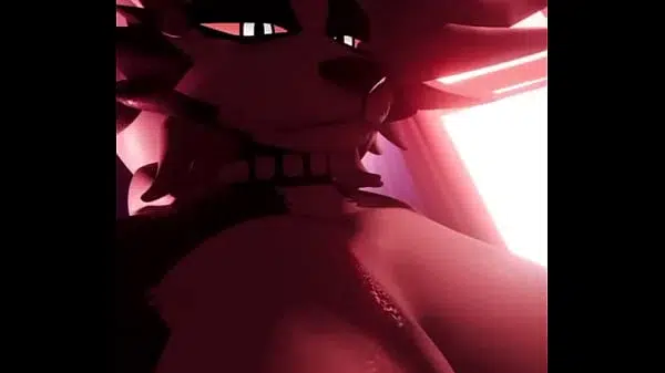XVIDEOS