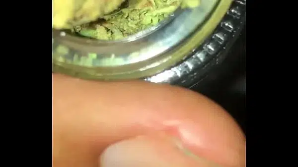 Xvideos