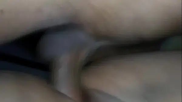 Xvideos