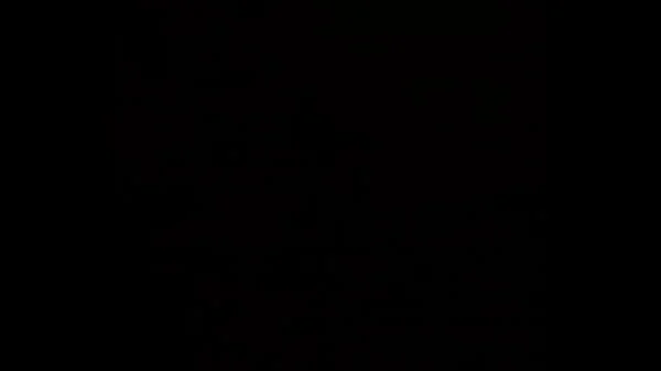 Xvideos