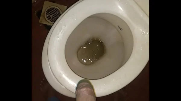 Xvideos