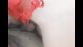 Caliente Madrastra mexicana