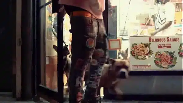 City – DAWG