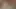 I accidentally booked my Stepmom, why didn’t she leave? Her mature hairy MILF pussy was soaking at the thought of fucking me