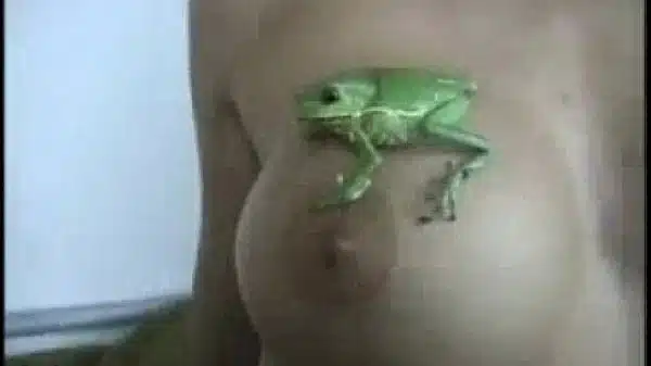 xvideos.com 935d9ea0798b242ddbc74a45b47662cf