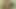 29yr Old Xhamster Slut: Tribute to me + Dirty Talk + Anal
