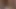 Auf xhamster bullwhipping