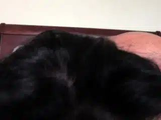 Bustys Cam Webcam Big Boobs Free Big Boobs Cam Porn Video