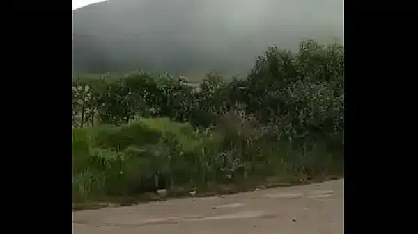 Conductor que contrato mi papa me hace chupar su verga en carretera solitaria